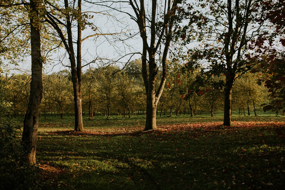 mariage-automne-jardins-pays-d-auge-cambremer-livarot_0002.jpg