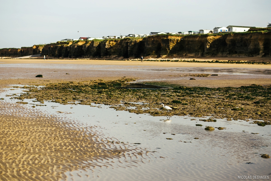 seance-engagement-bord-mer-plage-luc-sur-mer_0005.jpg