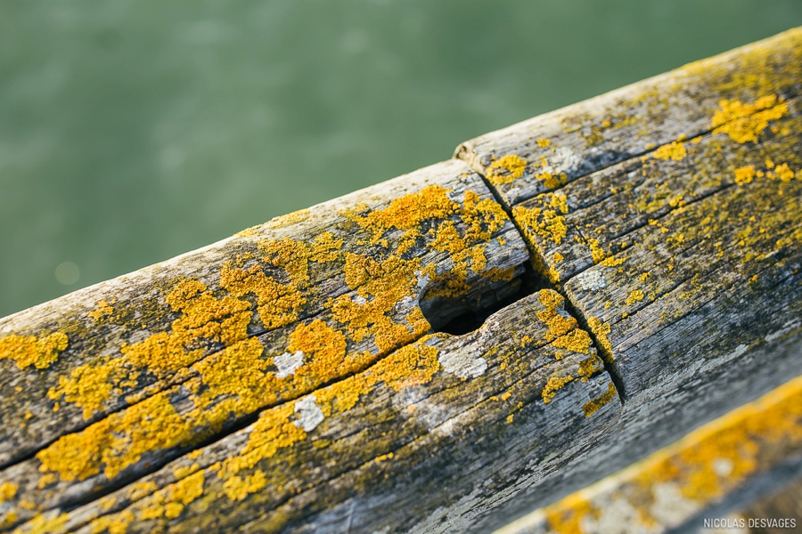 seance-engagement-bord-mer-plage-luc-sur-mer_0026.jpg