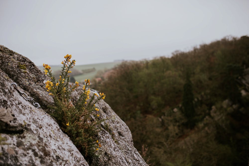 photographe-alternatif-couple-normandie_0015.jpg