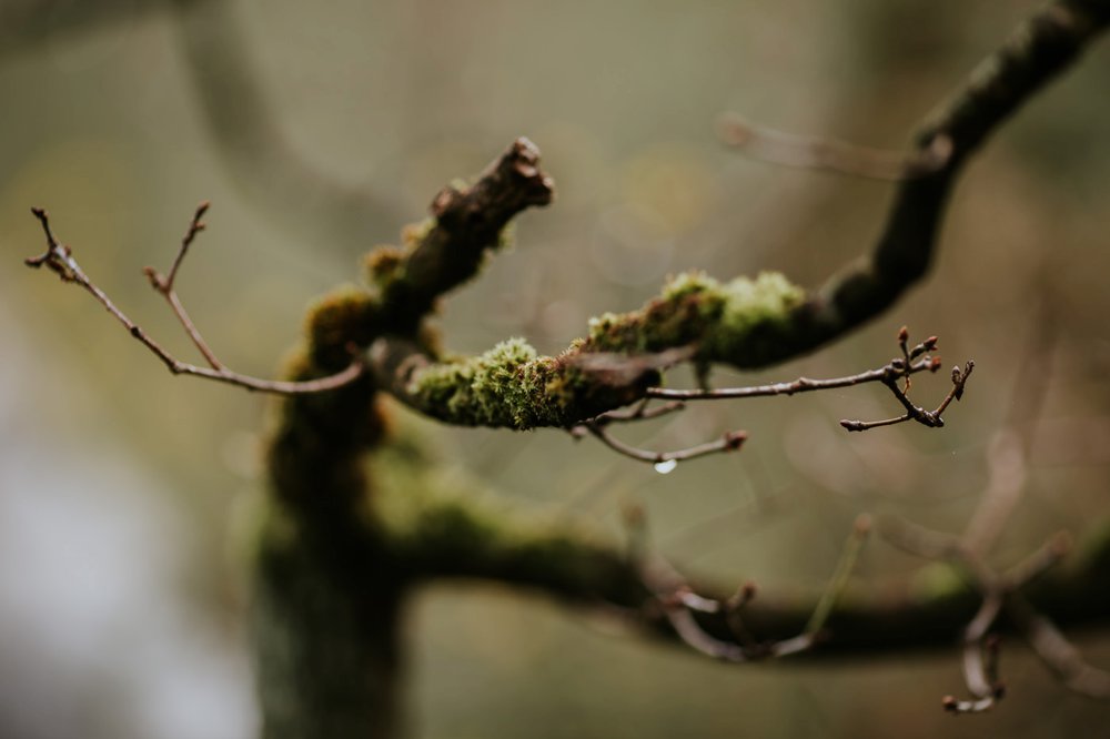 photographe-alternatif-couple-normandie_0022.jpg