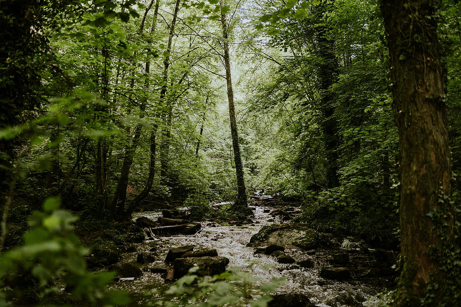 rivière en forêt en Normandie