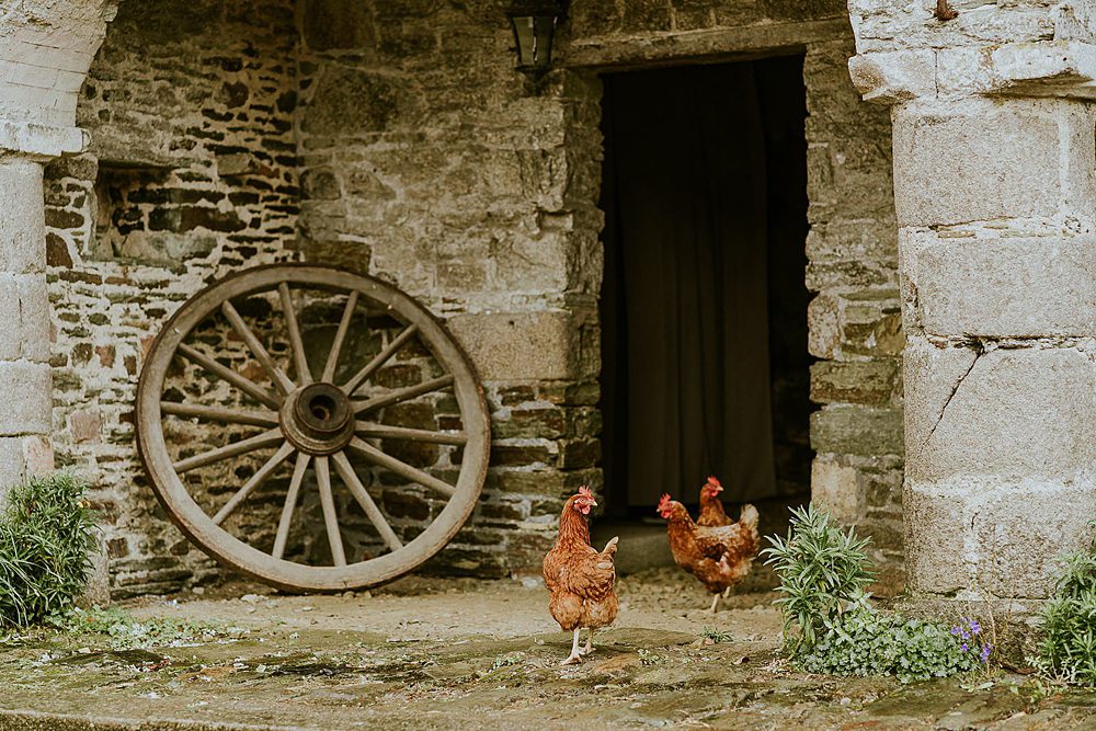 Les poules du chateau