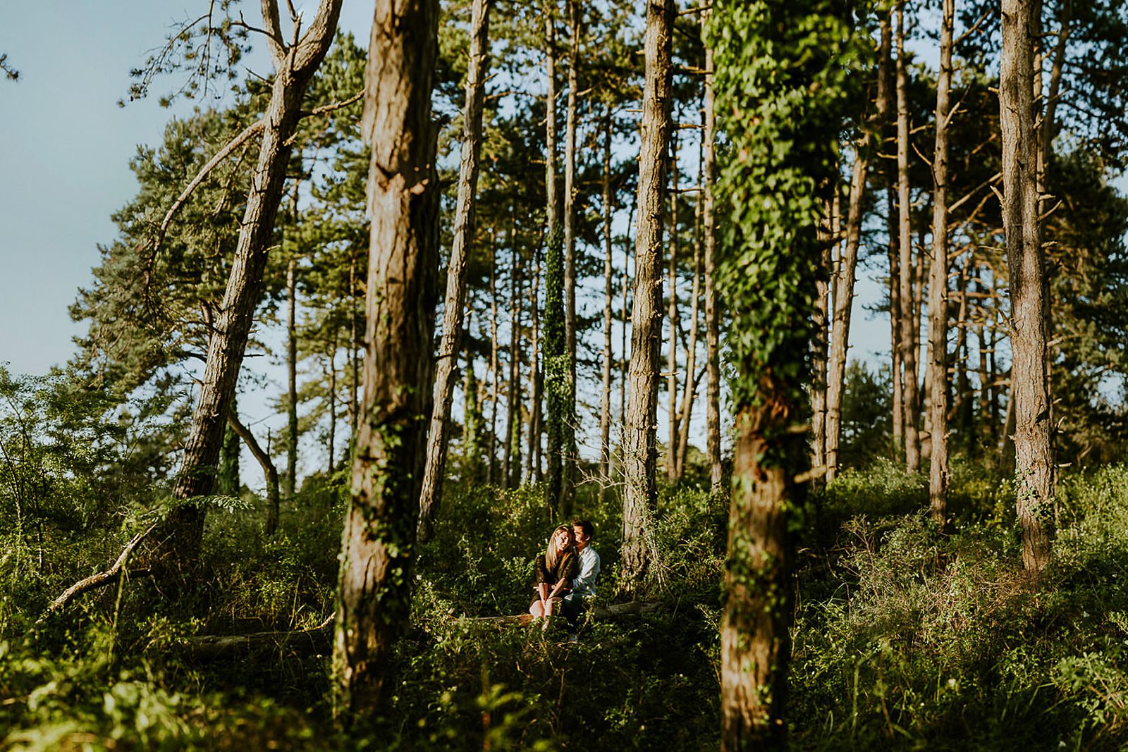 amoureux sur un tronc d'arbre